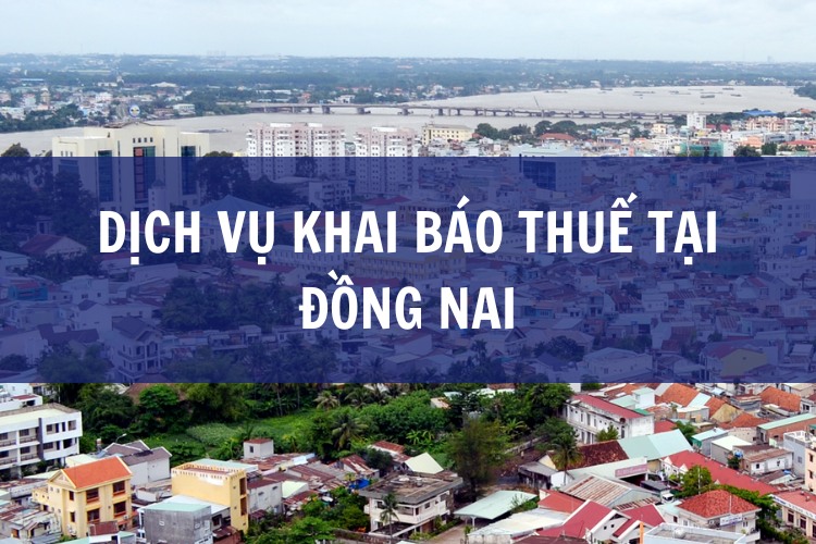 Dịch Vụ Khai Báo Thuế Tại ĐỒNG NAI