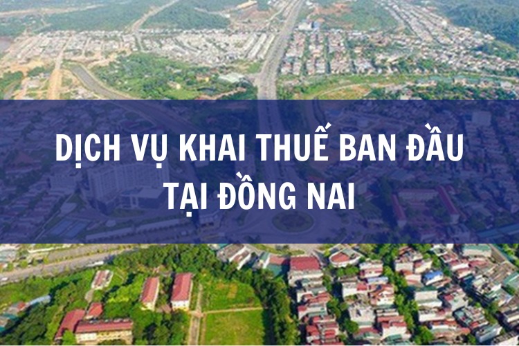 Dịch Vụ Khai Thuế Ban Đầu tại ĐỒNG NAI